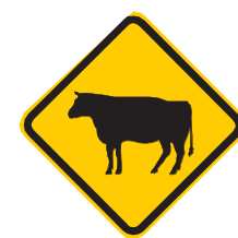 Placa A-35, Animais